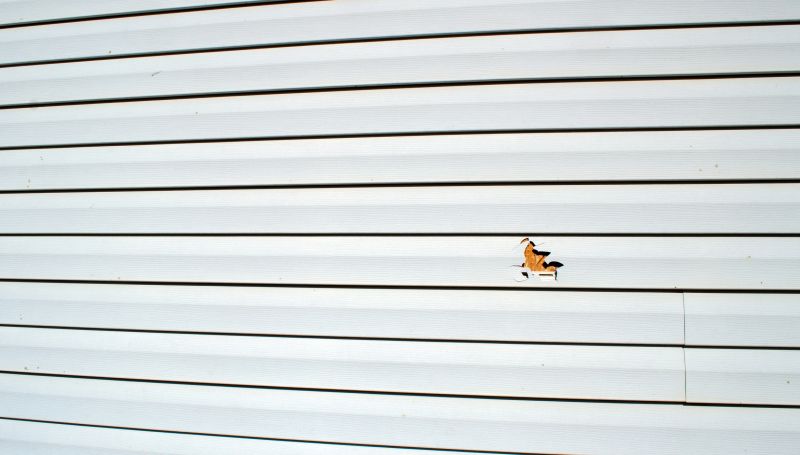 Vinyl Siding Repair Installation Image 1